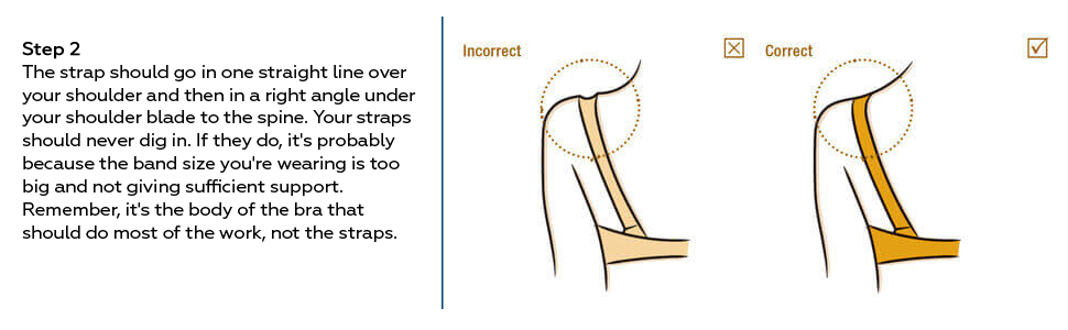 3 Steps To Proper Bra Fitting - Step 2